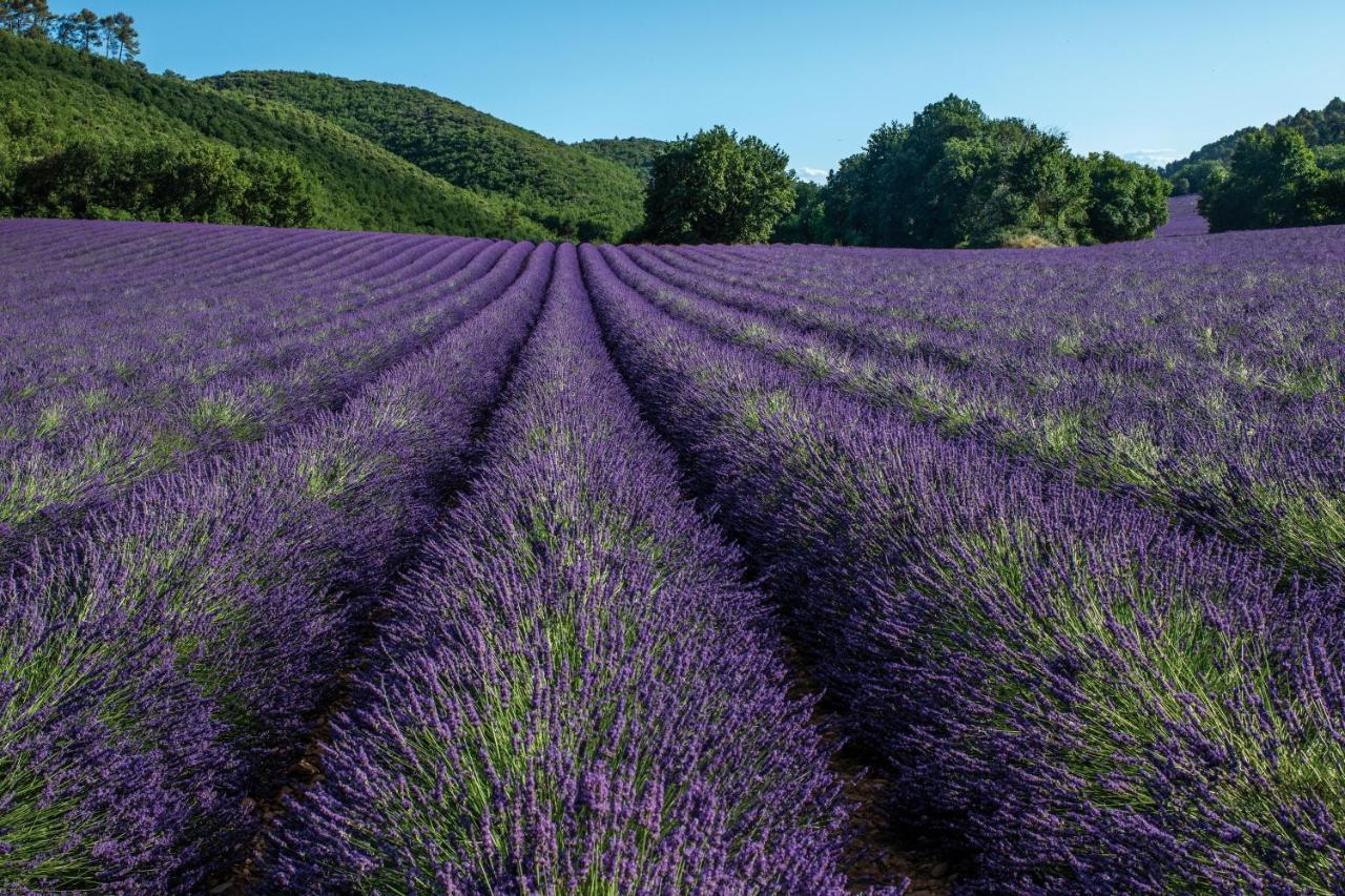 Club Vacances Bleues Domaine De Chateau Laval Gréoux-les-Bains Exteriér fotografie